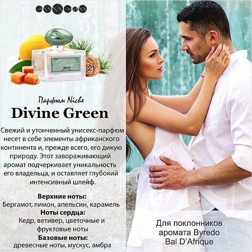 Niche унисекс аромат Divine Green эквивалент  
